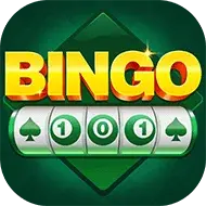 Image for BINGO101