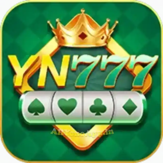 Image for YN 777